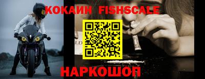 кокс Кингисепп