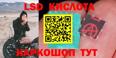 кокс Кингисепп
