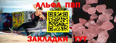 кокс Кингисепп