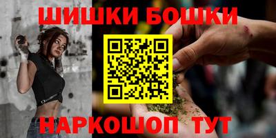 кокс Кингисепп